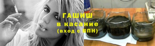 гидра Туринск